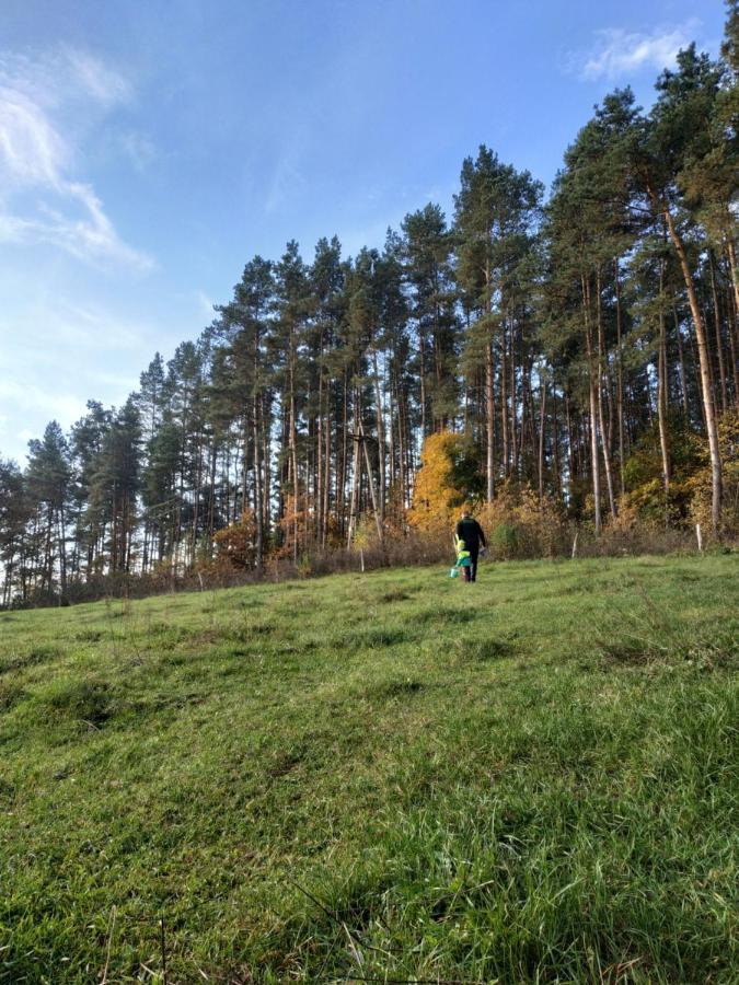 Domki Nad Jeziorem - Zalesie 7D Zalesie (Olsztyn) Kültér fotó