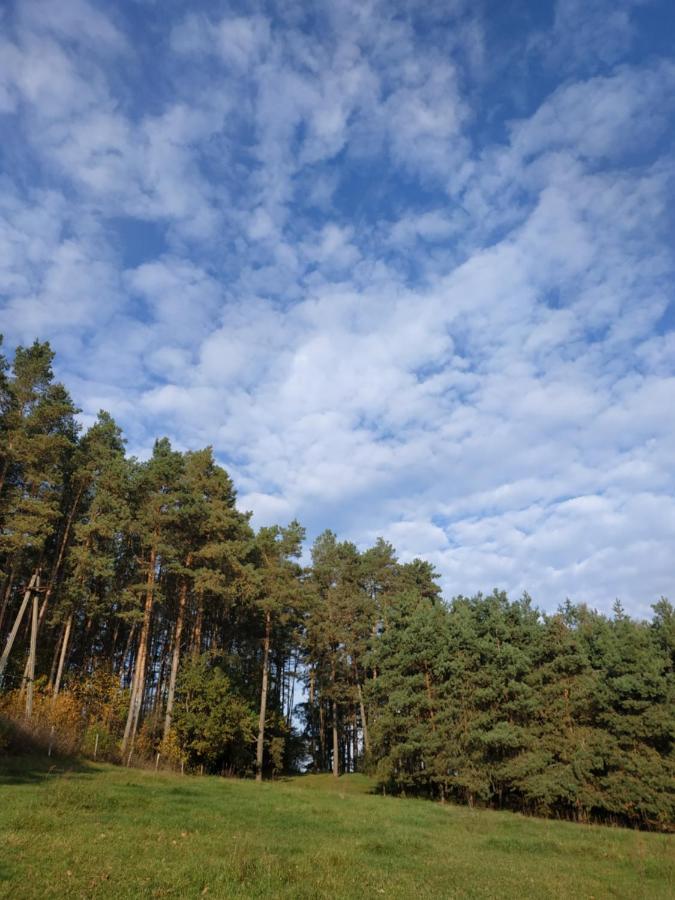 Domki Nad Jeziorem - Zalesie 7D Zalesie (Olsztyn) Kültér fotó