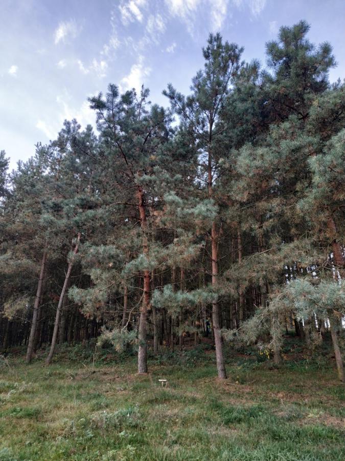 Domki Nad Jeziorem - Zalesie 7D Zalesie (Olsztyn) Kültér fotó