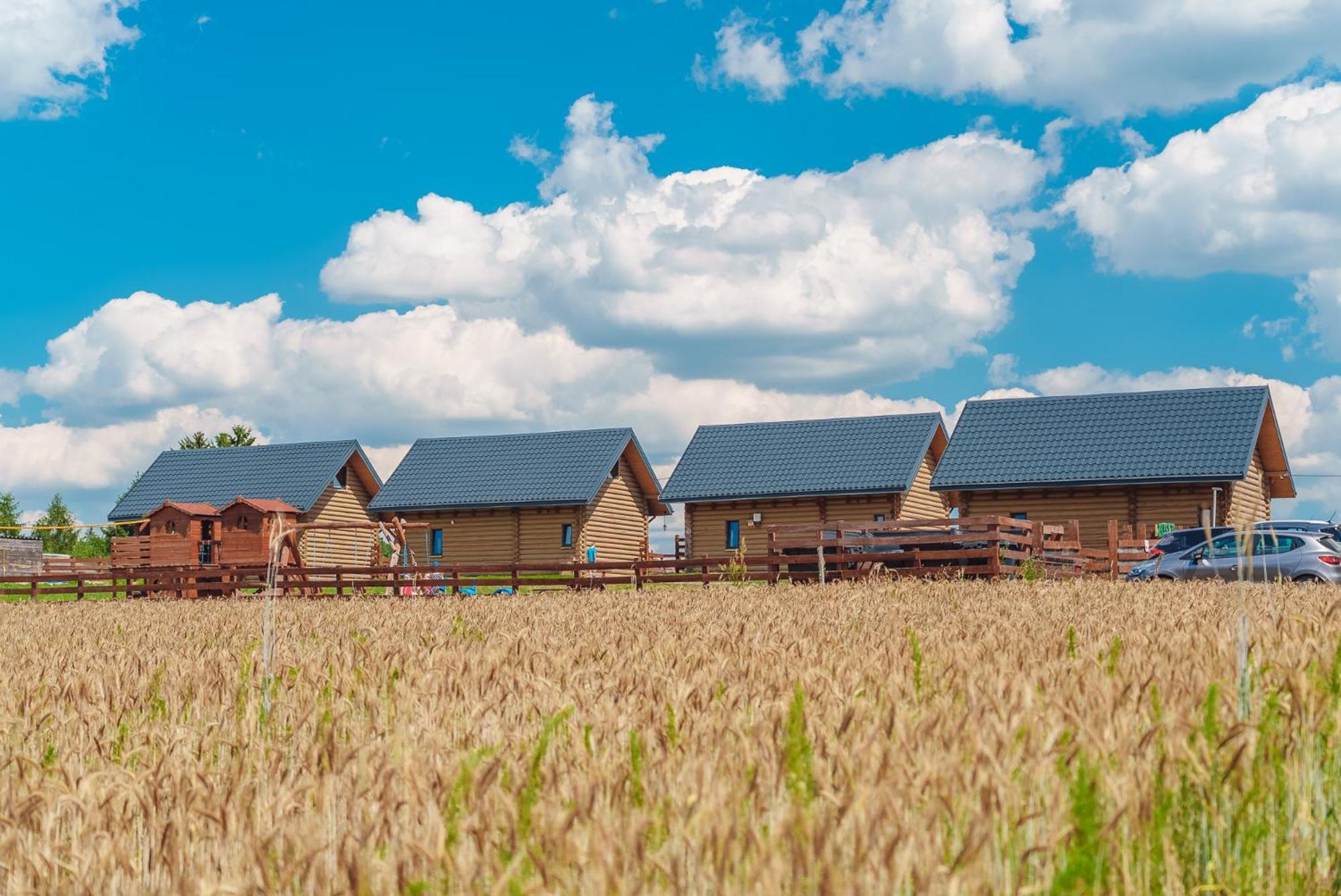 Domki Nad Jeziorem - Zalesie 7D Zalesie (Olsztyn) Kültér fotó